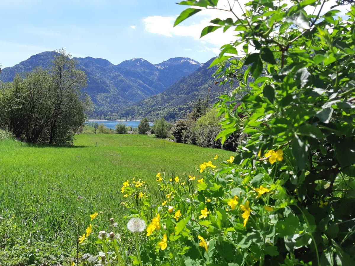 Ledro Nest Apartment Mezzolago Luaran gambar